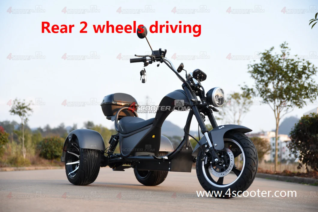 New Generation Tri-Wheels Electric Chopper with 2 Rear Wheels Drive Electric Fast Scooter