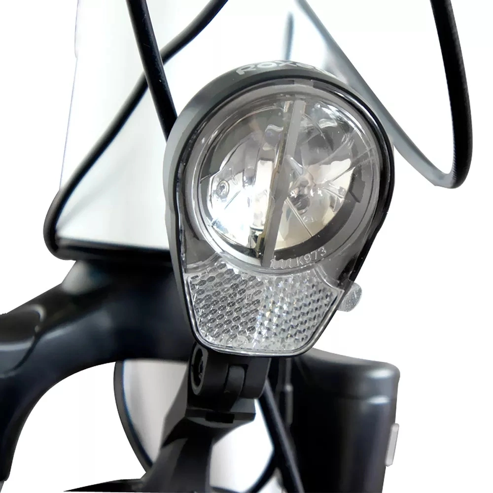 LED Display Electric Folding Bike Rear Motor Steel Frame Electric Folding Bike