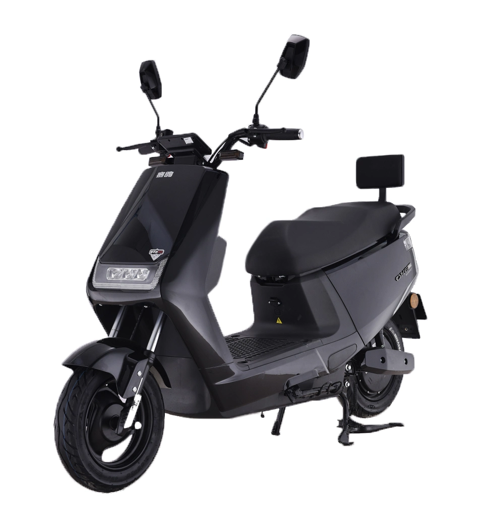 Saige Brand N95 High Speed Electric Motorcycle with Remote Alarm