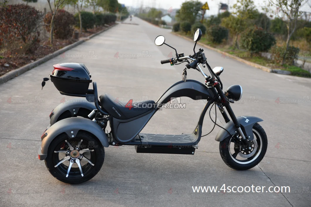 New Generation Tri-Wheels Electric Chopper with 2 Rear Wheels Drive Electric Fast Scooter