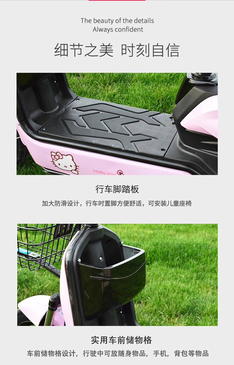 Fashion Electric Bike for Men and Women