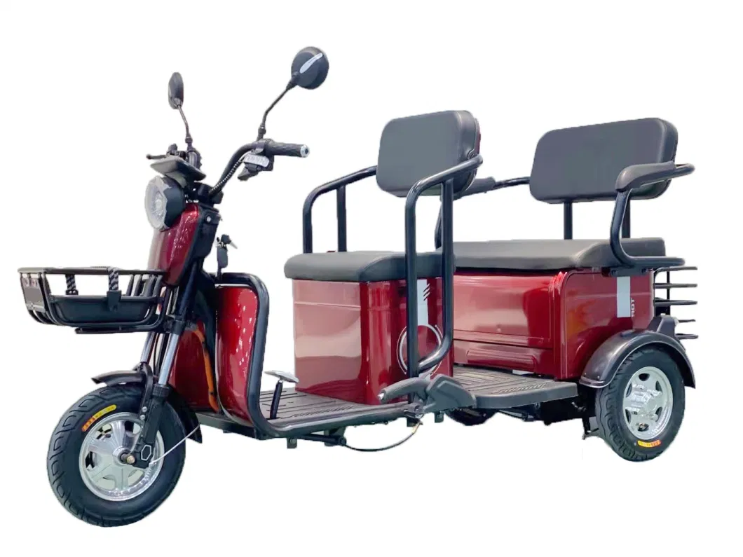 48V650W Electric Mini Electric Rickshaw Passenger Tricycle with Foldable Seat