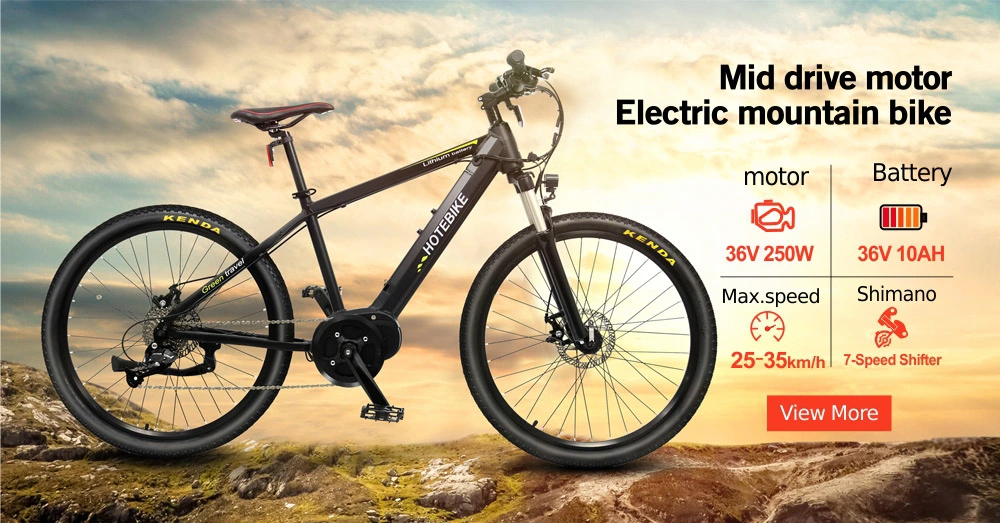 36V/48V 250W/350W/500W/750W High Power Mountain Electric Bike