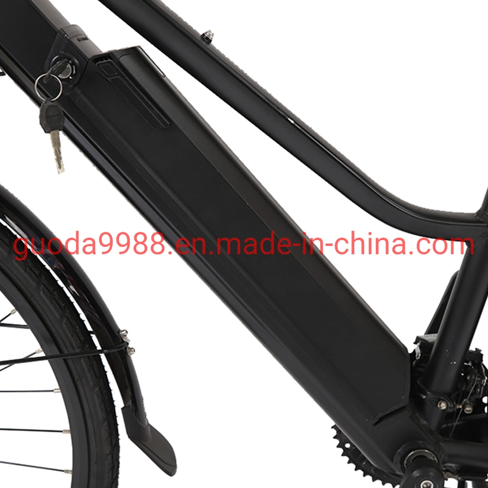 36V250W Motor Electric Bicycle Powerful Electric City Bike