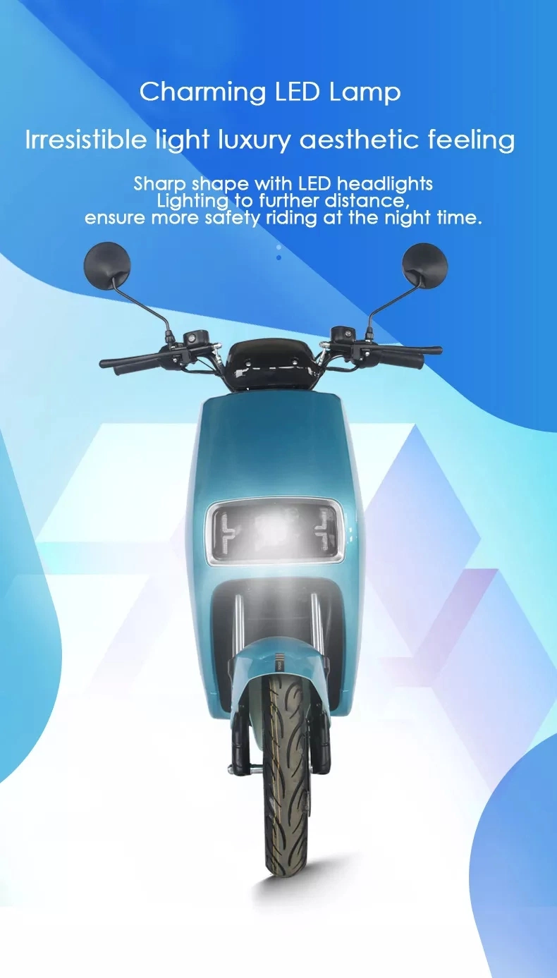 New Design Hot Selling Adult Electric Motorcycle