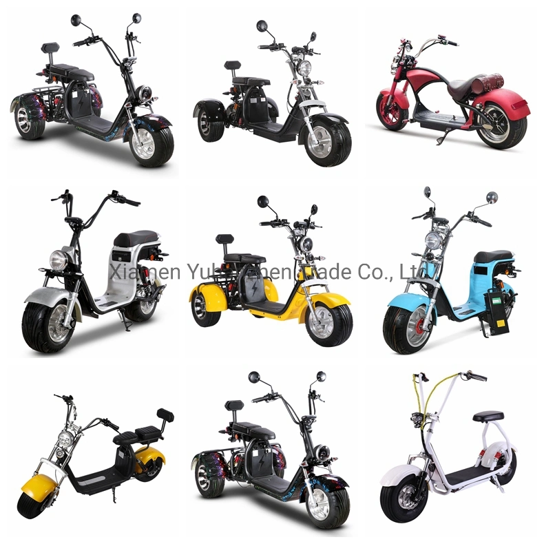 Mini Citycoco Electric Scooter 48V 800W Two Seat Ebike Small Motorcycle