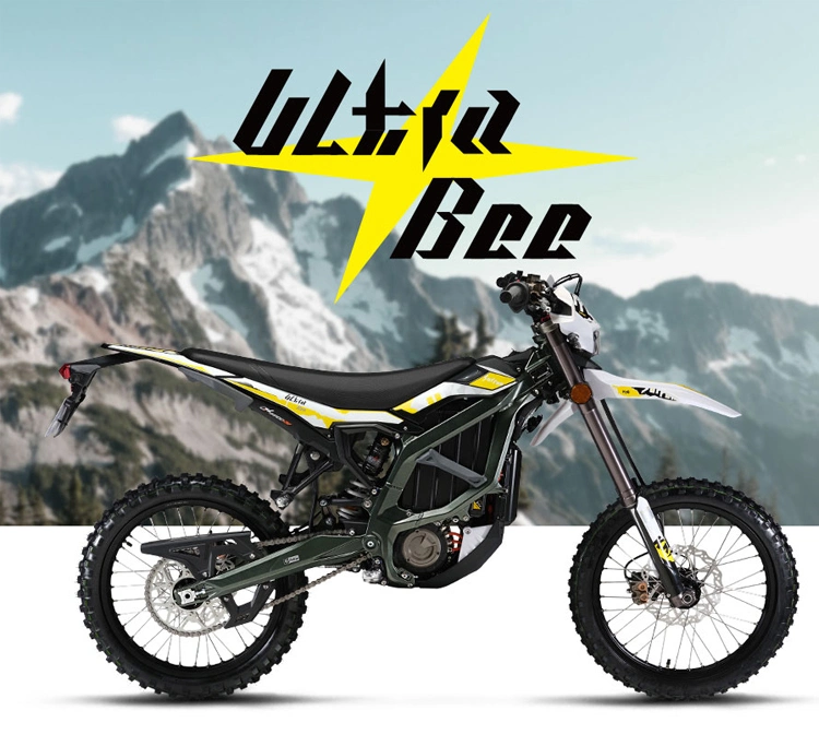 Electric Motorcycle Adult Electric Powerful Dirt Bike with MID Drive Ebike