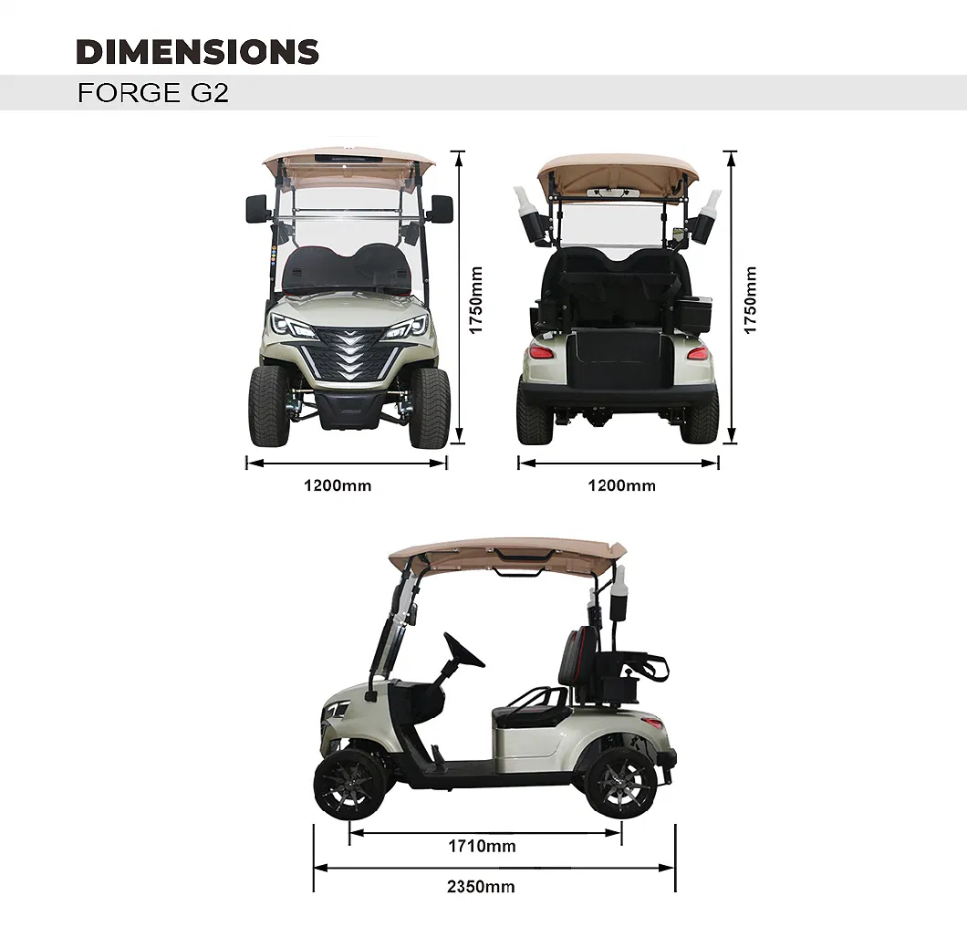 Quality Assurance Lithium Battery Wholesale Products 2 Seater Golf Car Forge G2