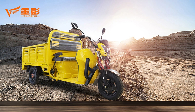 New Type Motorized Auto Rickshaw Three Wheel Electric Tricycles for Cargo