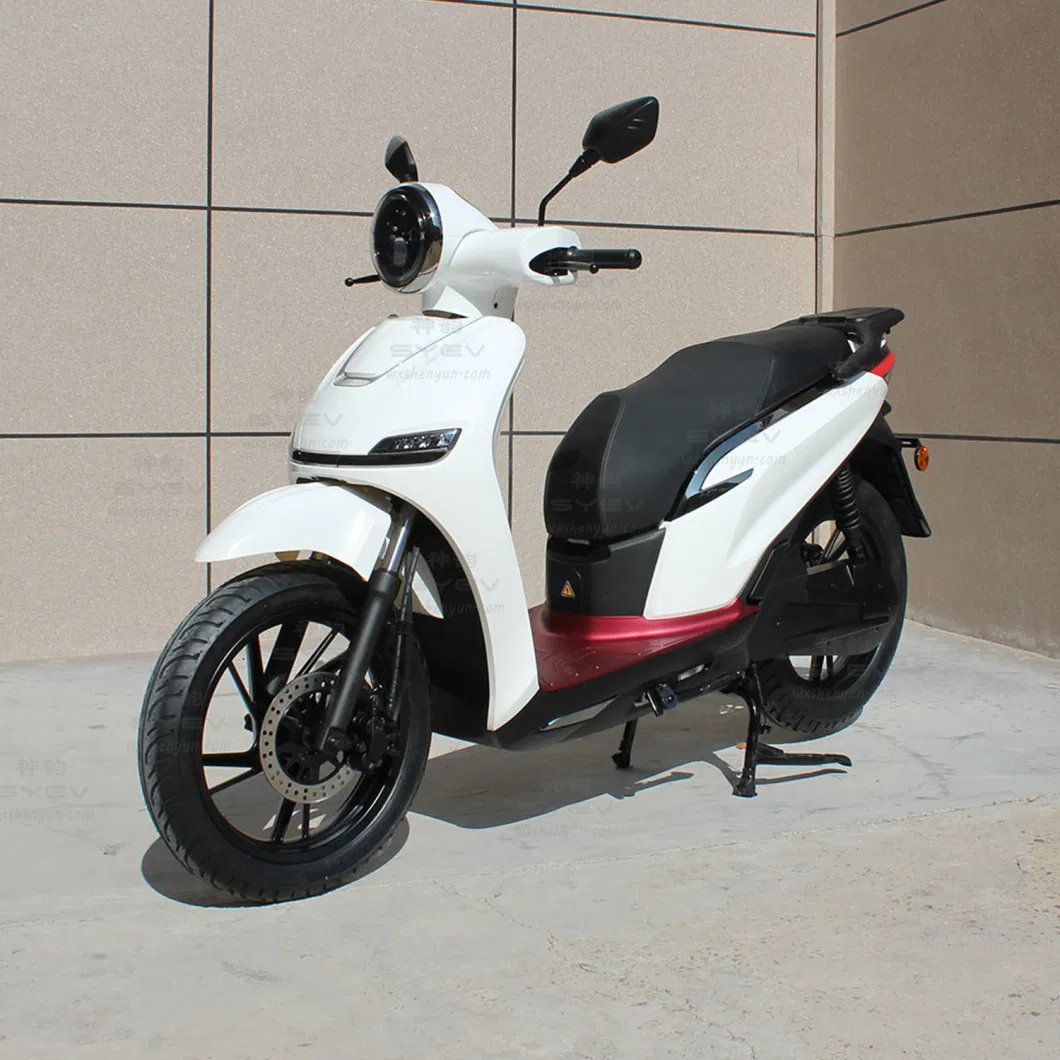 80km/H Electric Scooter High Speed Electric Motorcycle Big Power Electric Moped Syev Shenyun Sy-T500s Sy-T500s-B