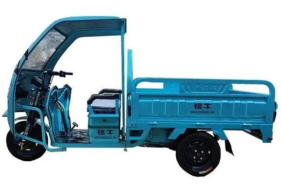 Factory Big Power Electric Tricycle Enclosed Body 3 Wheels Electric Motorized Tricycle Cargo