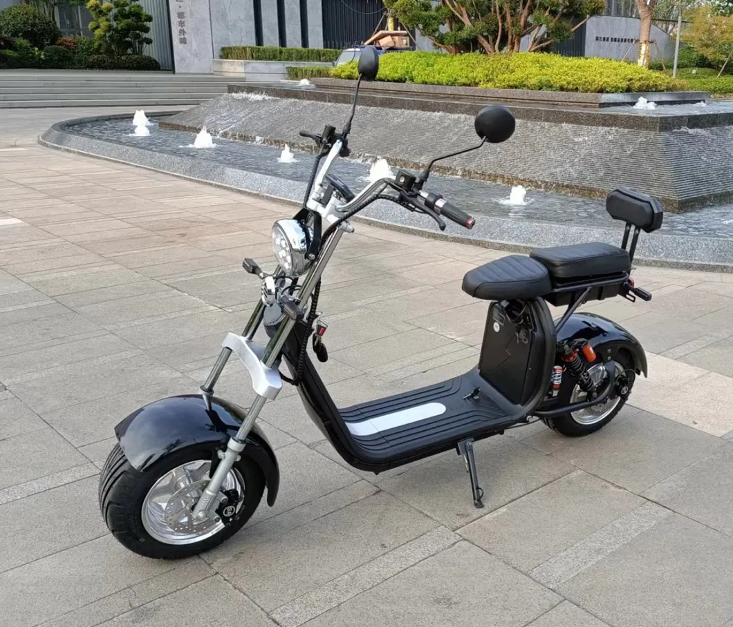 10inch Tyre Moped Motorcycles 2000W 20ah Battery Adult Electric Citycoco Scooters