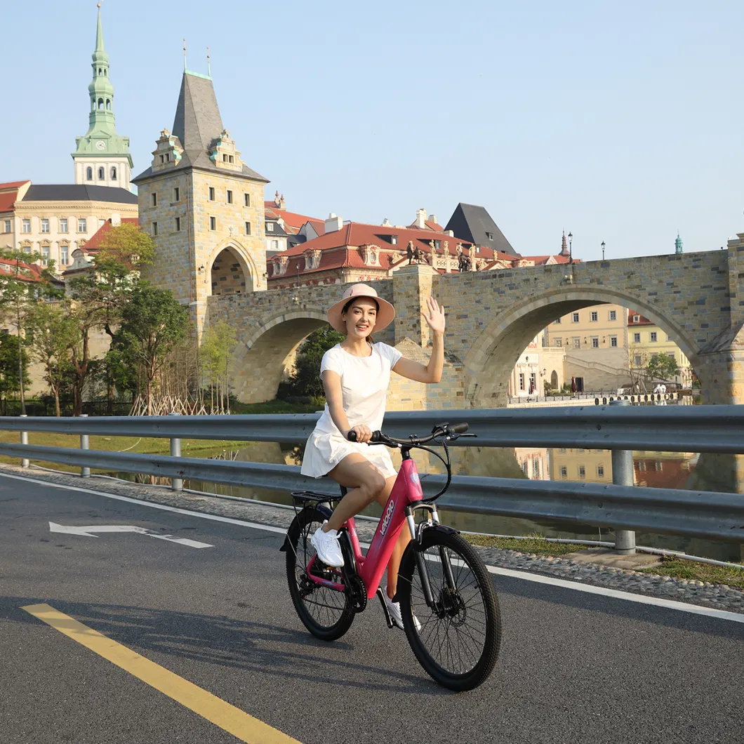 Women&prime;s E-Bike 250W Electric City Bike for Leisure