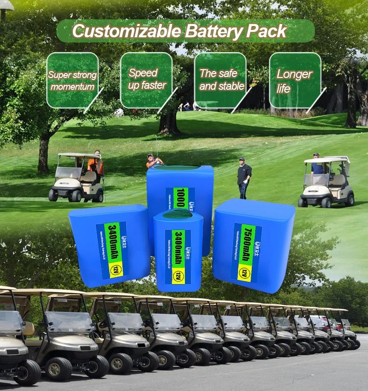 Lws 12V 24ah Lithium Battery for Electric Scooter