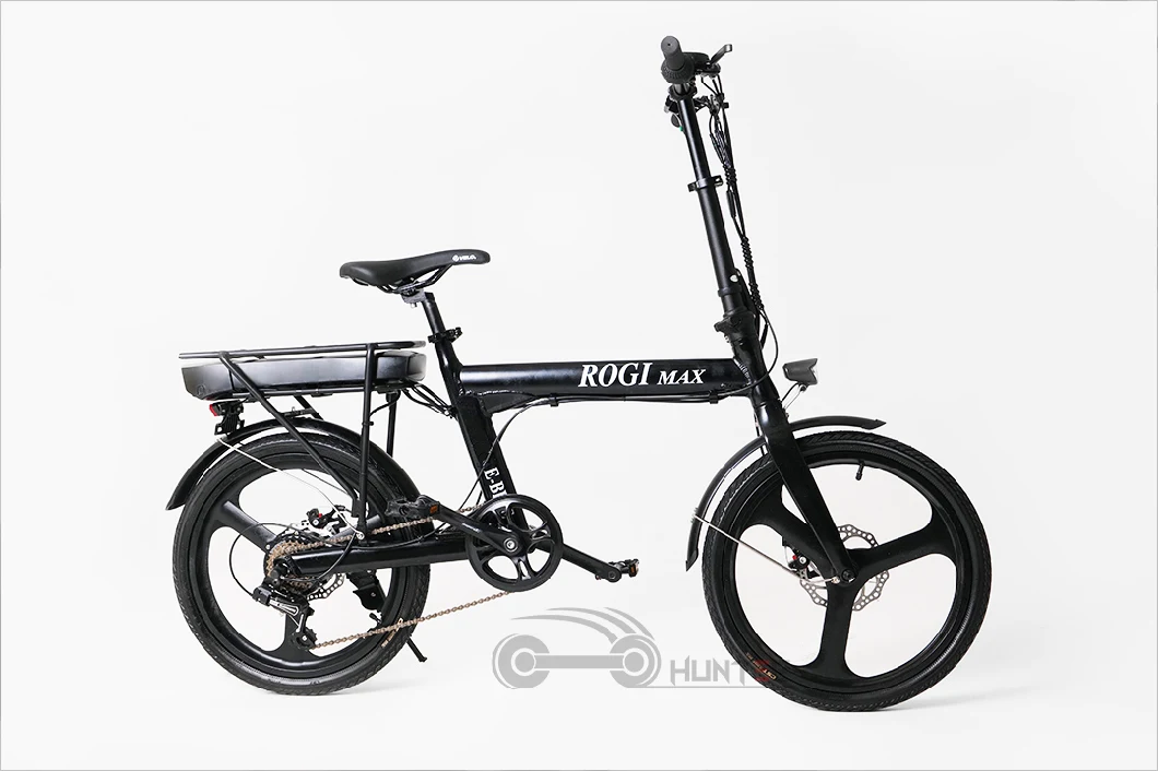 2023 Best Electric Cycle for Europe