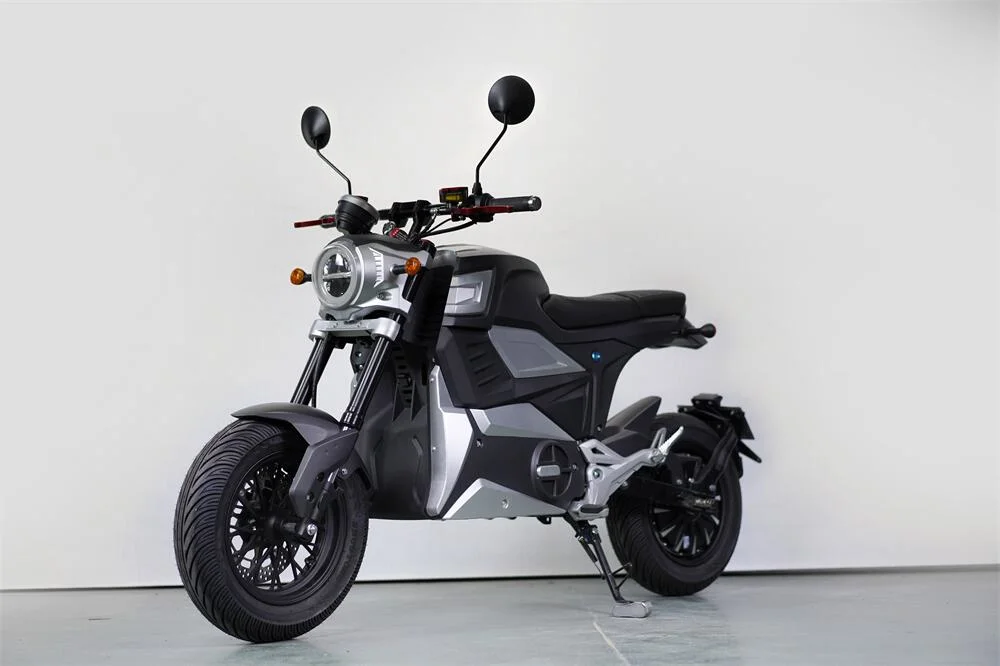 High Speed Powerful 60km/H 2000W Adult EEC Racing Sport Offroad Heavy Dirt Bike Electrical Motor Scooter Electric Motorcycle