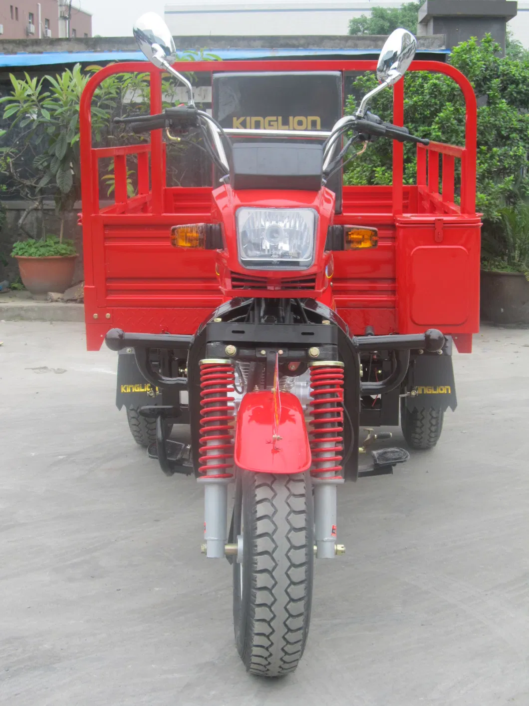 Fuel Cargo Tricycle Auto Rickshaw Passenger Three Wheel Motorcycle