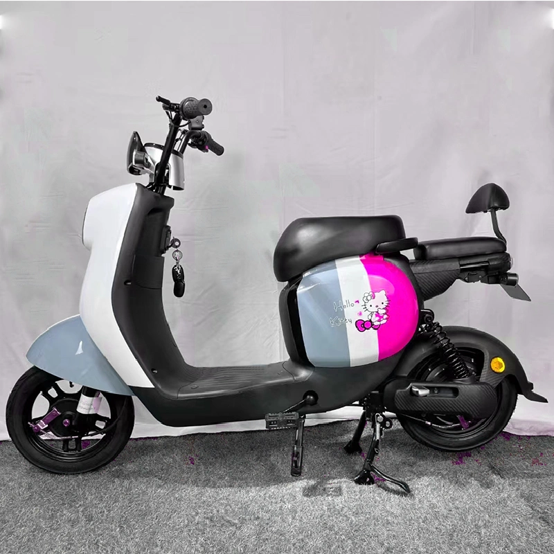 2022 Hot Selling Chinese Electric Bike Adults Electric Bicycle