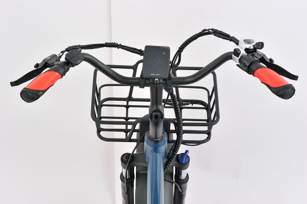 Factory Direct Sales 24 Inch Front Drive 750W Cargo 3 Wheel Electric Bike Trike