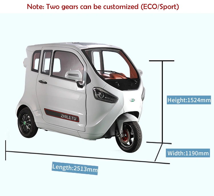 Auto Rear Wheel Motor Electric Tricycle Price Electric Rickshaw with Battery