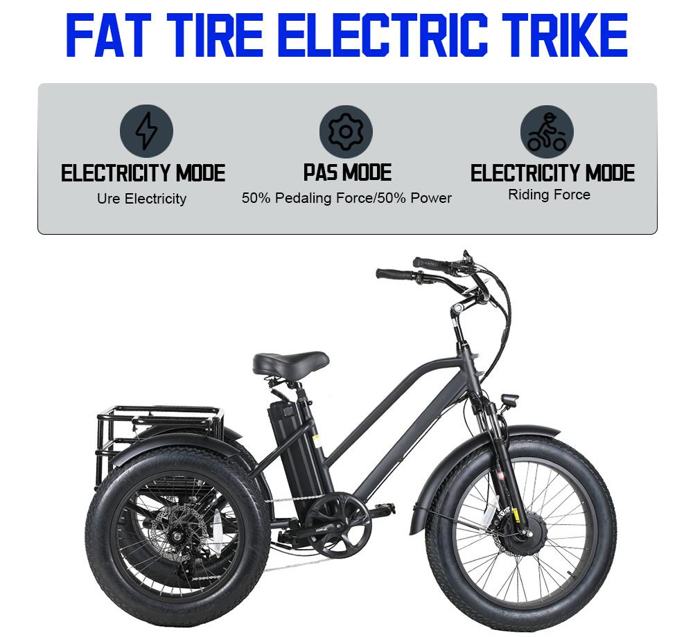 24 Inch Electric Trike 750W Motor Fat Tire 3 Wheel Trike Three Wheels Cargo Electric Bike Trike with Basket