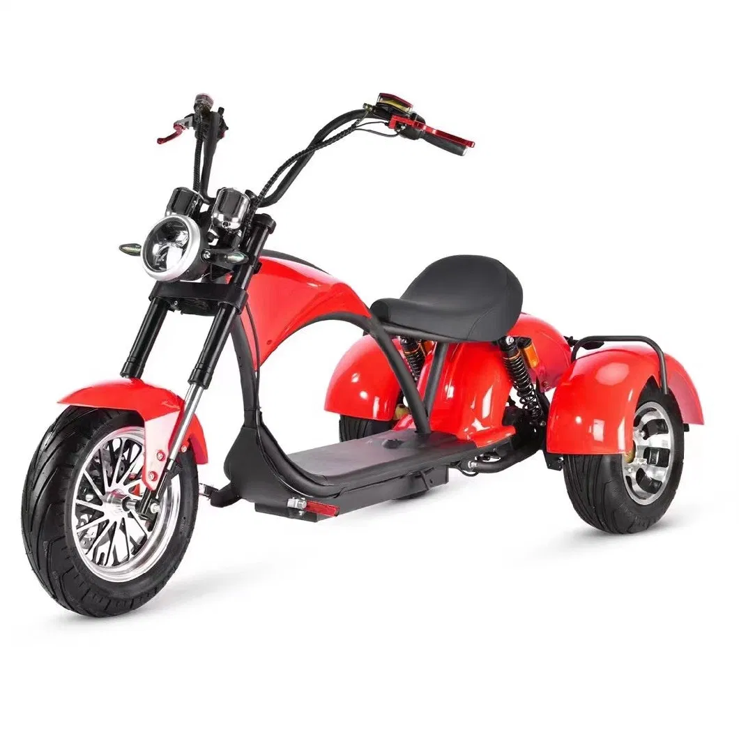 3 Wheel Citycoco Electric Scooter Adult Fat Tire Motorcycle Mobility Scooter