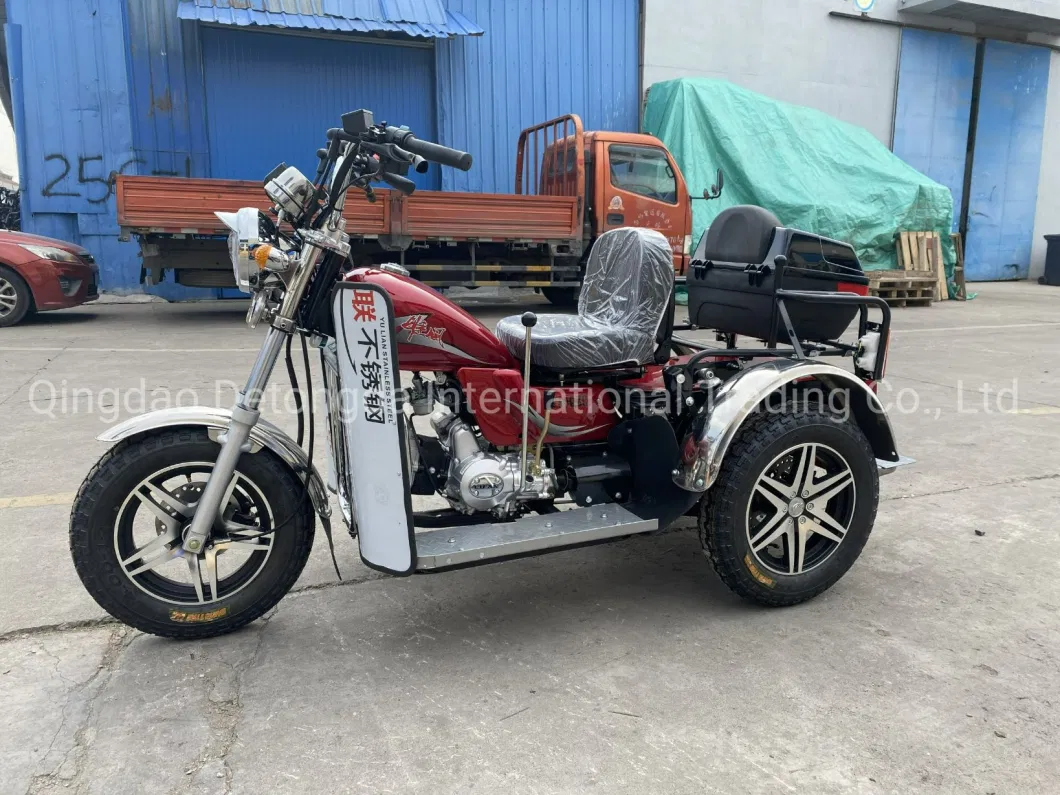 3 Wheel Motorcycle Electric Tricycles with Passenger Seat and Cargo Tricycles