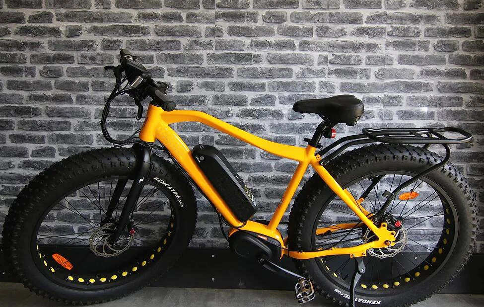 2023 Paladin Ebikes Fat Tire Electric Bicycles 48V 750W Brushless Motor E Bicycles Adult E Bikes