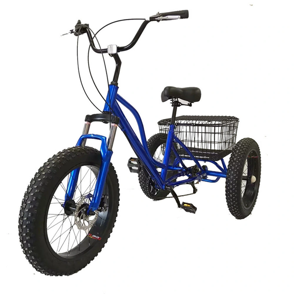 3 Wheeler Tricycles for Disabled Adult Tricycle Bicycle Bike for Adult Manual