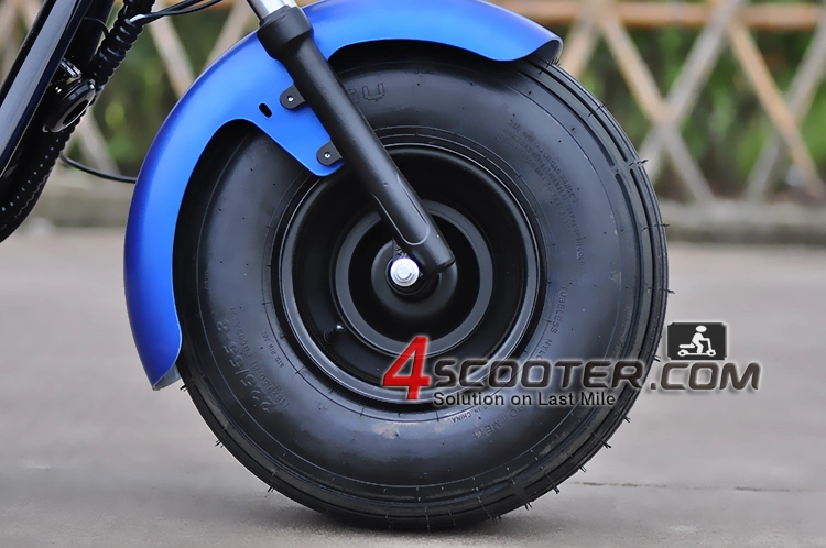 Chinese Electric Wheel Citycoco Electric Bicycle for Sale