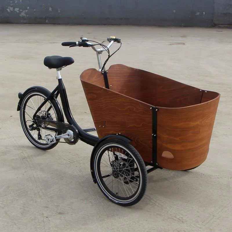 Wooden Frame Electric Adult Tricycle Trends 3 Wheels Dutch Cargo Bike Family Bicycle Kids Scooter for Sale