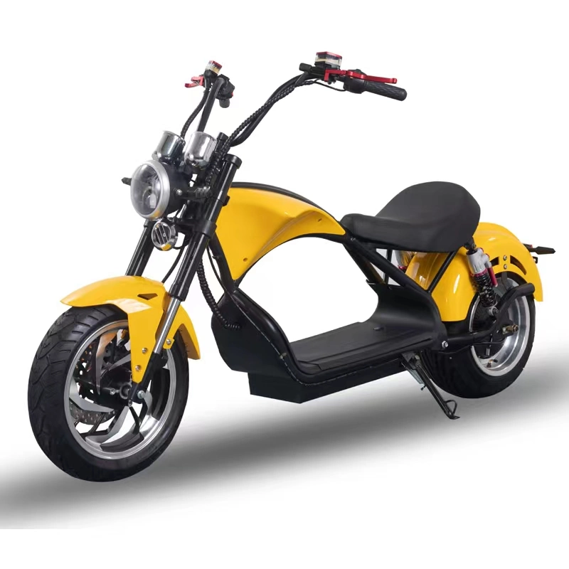 Two Wheeled Scooter Supplier 60V1500W High-Power Electric Motorcycle with CE