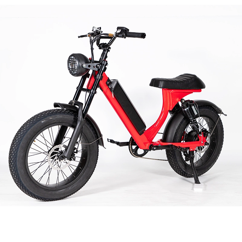 Good Design Electric Bicycle 48V/15ah Premium Battery Kenda 20*4.0 48V500W Brushless Electric Bike