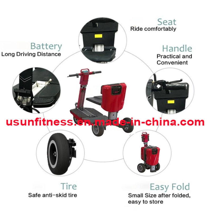 3 Wheels Electric Bike Folding Bikecycle Scooter with CE