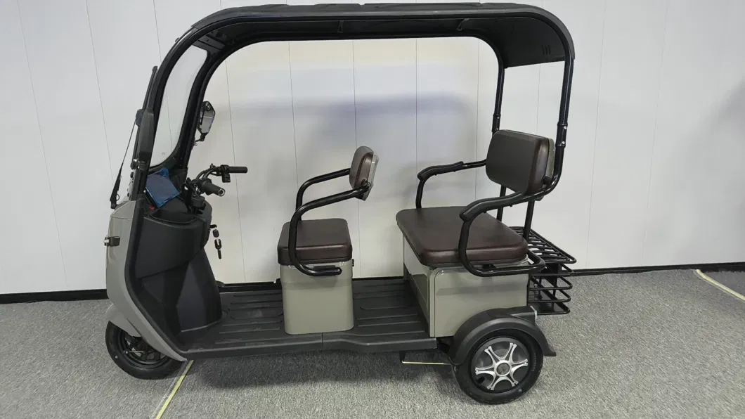 1000W Electric Tricycle for Passenger and Cargo Three Wheel Auto Rickshaw