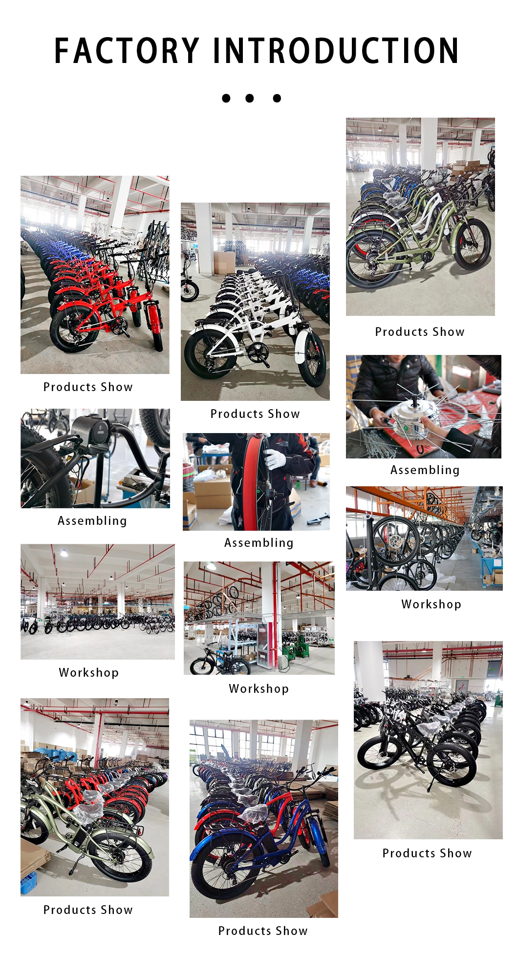 500W Electric Bike/Electric Bicycle 36V /Electric_Bike_From_China 500W Frame