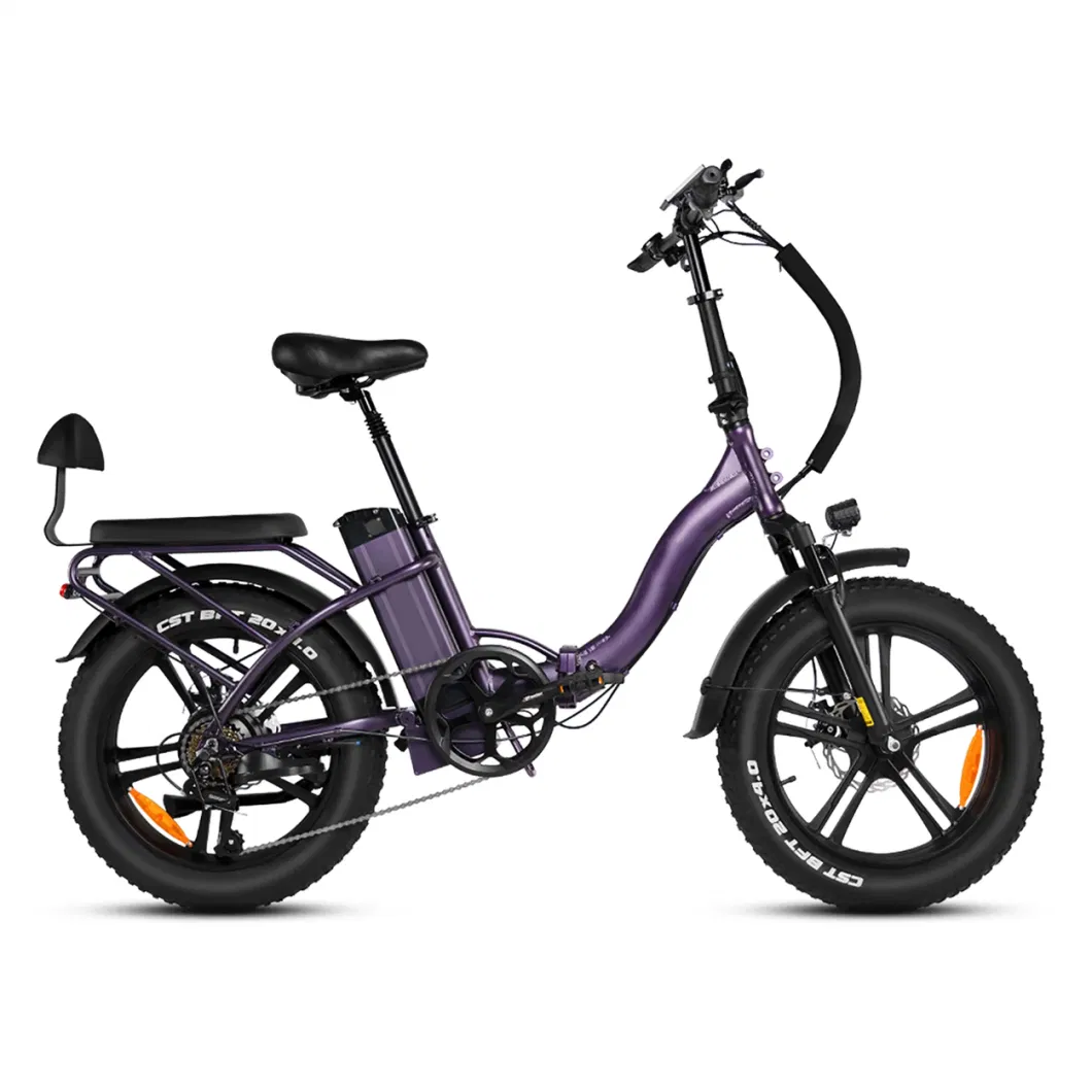 OEM for Women/Men 350W 36V Electric Bike Electric Folding Ebike