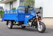 Big Head Light Three Wheel Motorcycle Blue Cargo Gasoline Dirt Bike Passenger