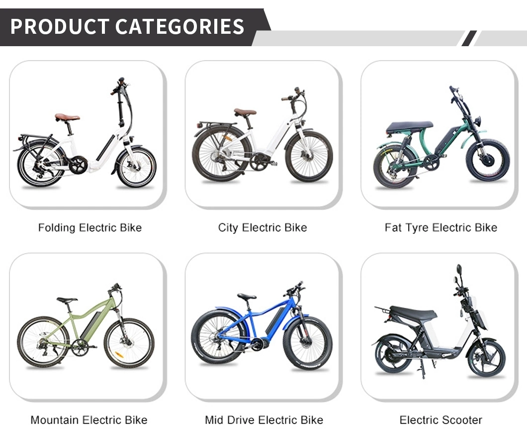 48V13A 500W Rear Motor Electric Bike, Electric Bike Kit, Fat Electric Mountain Bike