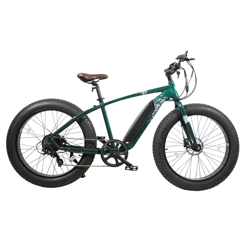 Brusshless Motor 60 Mph Electric Mountain Bike Chinese