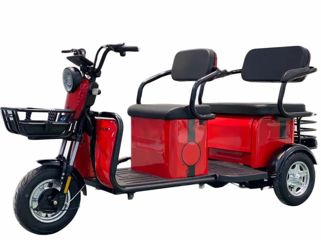 48V650W Electric Mini Electric Rickshaw Passenger Tricycle with Foldable Seat