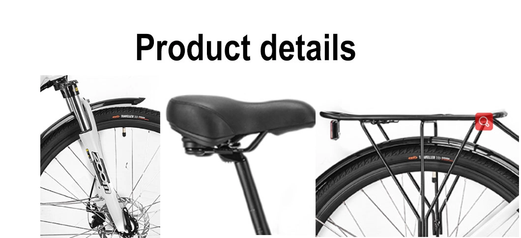 Lightweight Electric Chargeable Bicycle 350W Hub Motor City Electric Bicycle for Woman