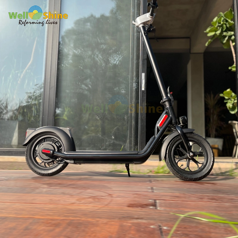 Scooter 36V E-Scooter for Adult Foldable Scooter Electric Scooter