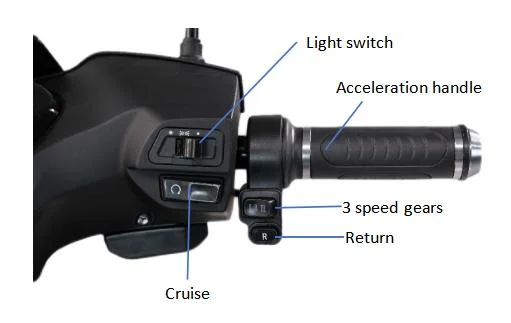 Hot Selling Electric Bicycle High-Quality Low-Price Motorcycle High Speed Importer Made in China