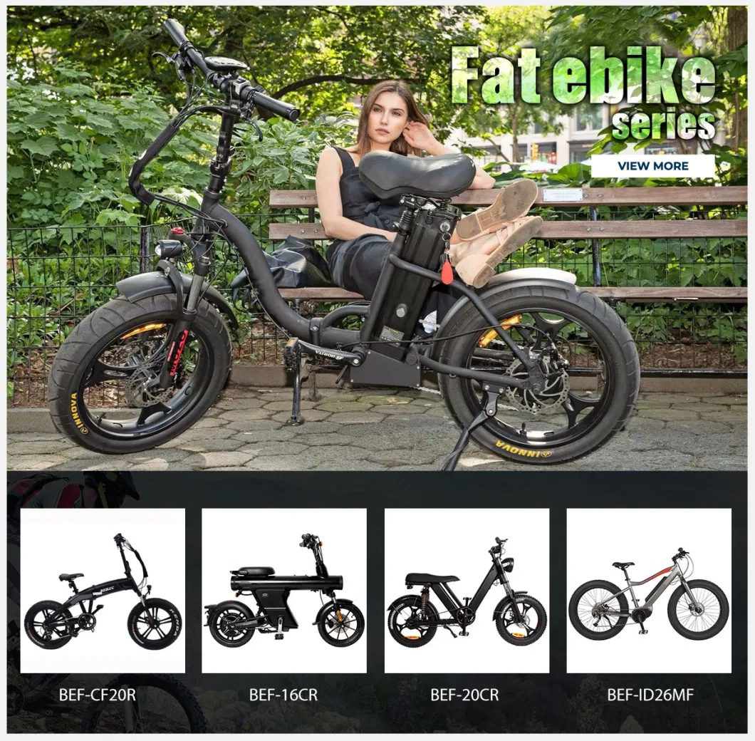 Aluminum Alloy Frame Double Disc Brake portable and Foldable Electric Bike