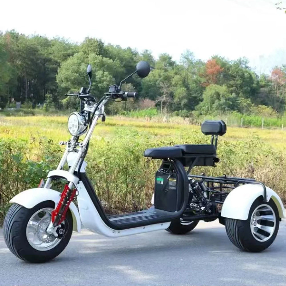 2000W 3 Wheel Electric Motorcycles Adult EEC Coc Three-Wheeled Electric Scooter