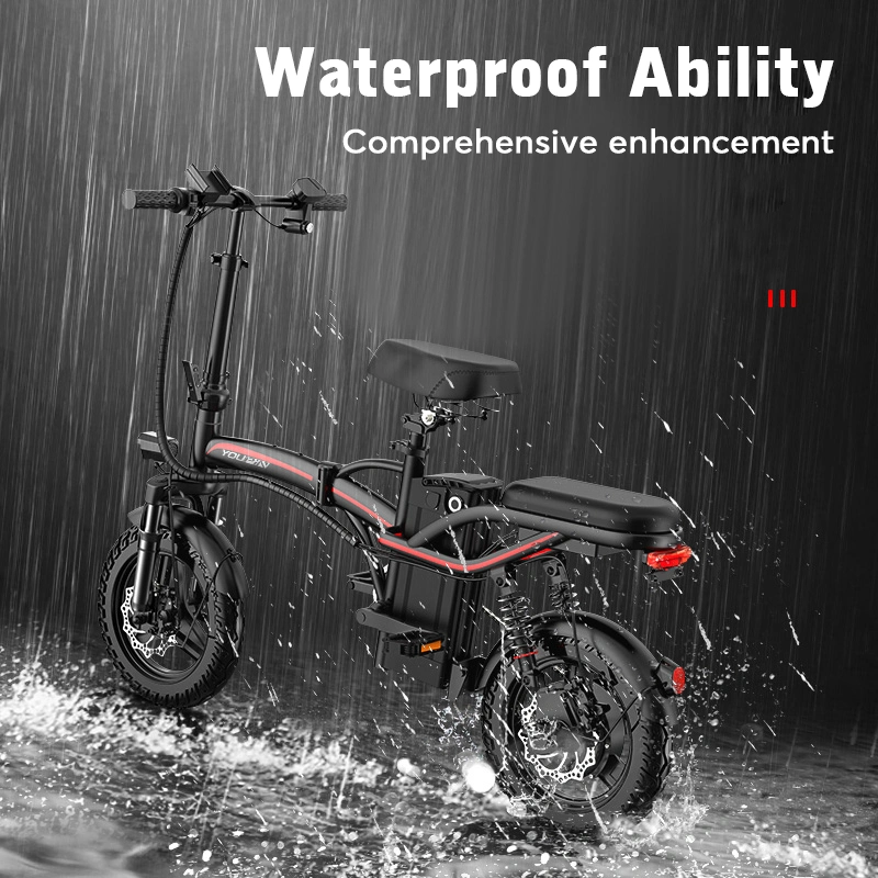 Aluminum Alloy Frame Double Disc Brake portable and Foldable Electric Bike