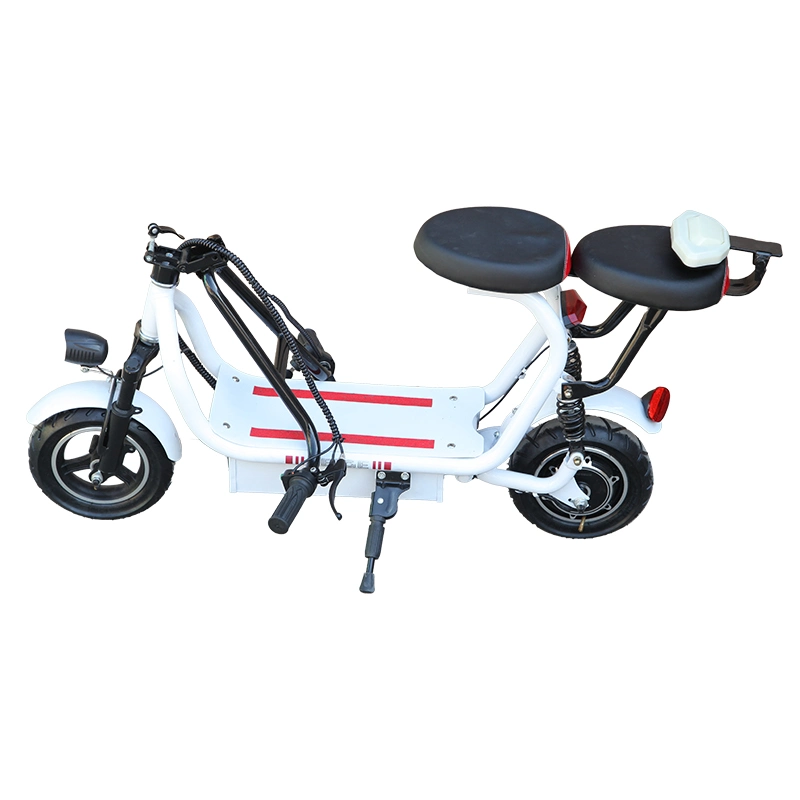 Folding Electric Bike Bicycle Foldable Electric Bike