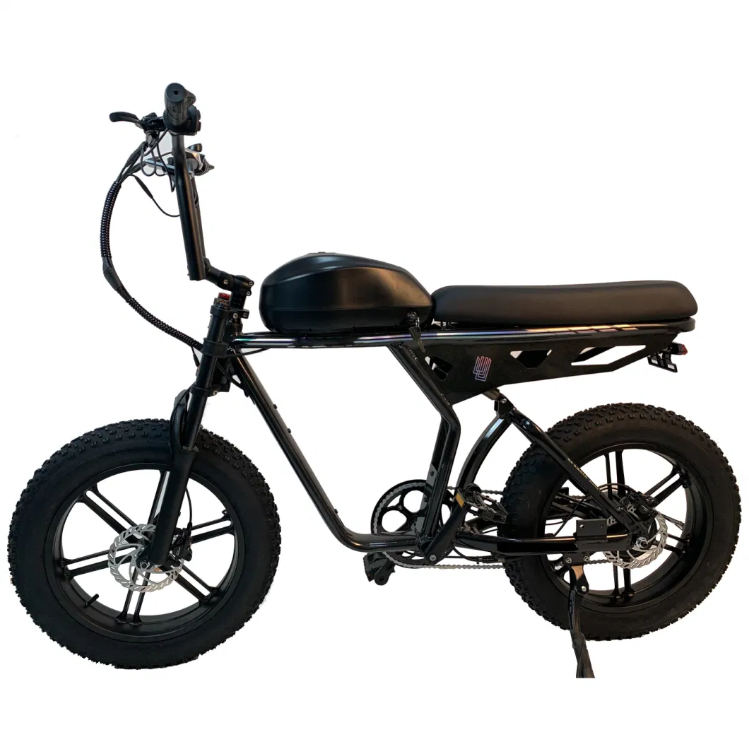 2023 New Model 48V 1000W 750W Electric Bicycle E Bike Fat Tire Chopper Electric Bike Motorcycles