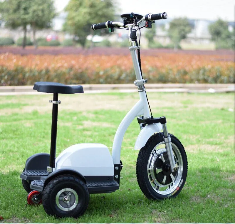 Hot Sell Elder Scooter with Front Basket 350W 500W Motor Bike Electric Scooter 3 Wheels